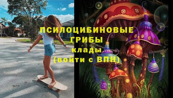 ECSTASY Абаза