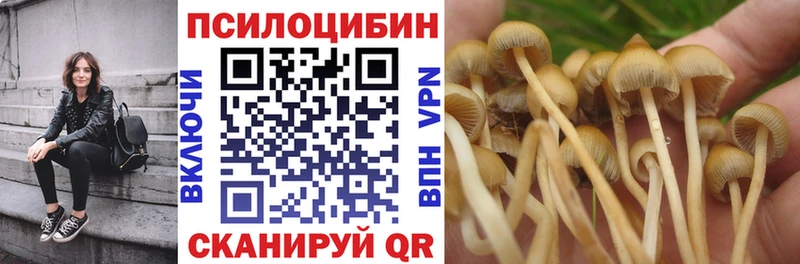 blacksprut онион  Керчь  Псилоцибиновые грибы MAGIC MUSHROOMS  где продают  